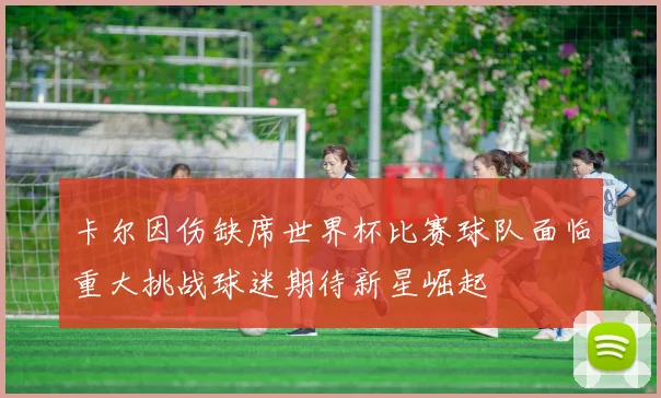卡尔因伤缺席世界杯比赛球队面临重大挑战球迷期待新星崛起
