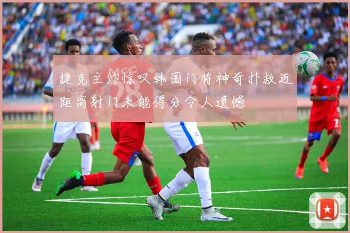 捷克主帅惊叹韩国门将神奇扑救近距离射门未能得分令人遗憾